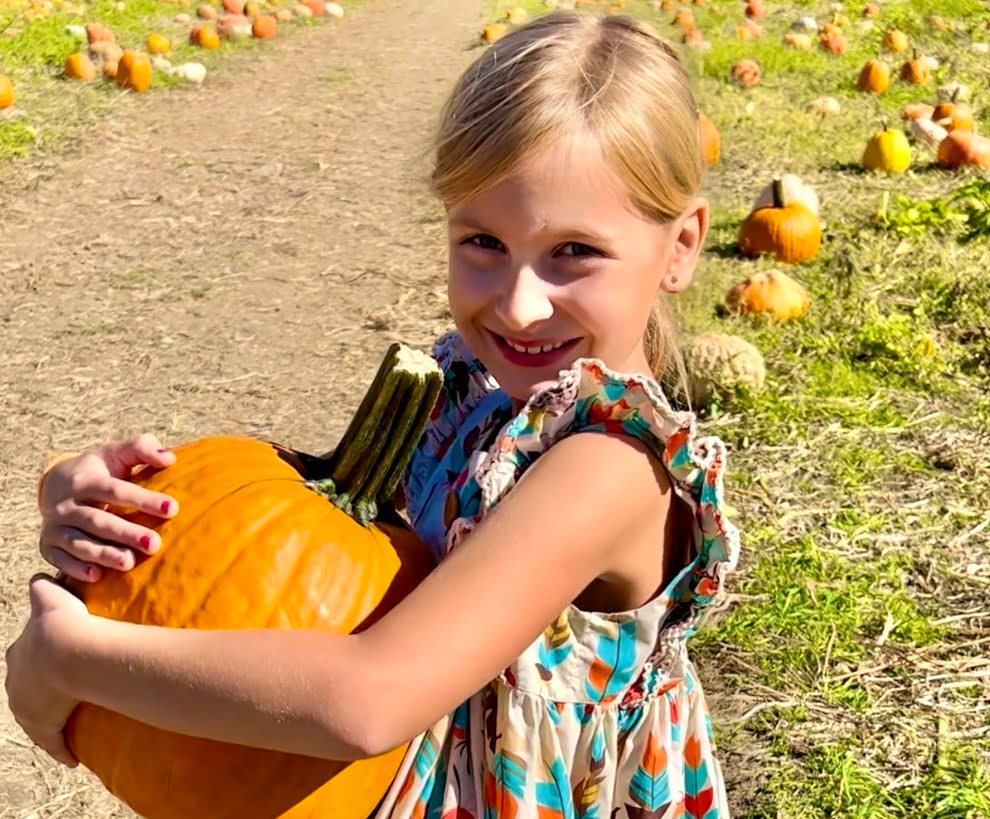 Ashland Berry Farm Pumpkin Patch