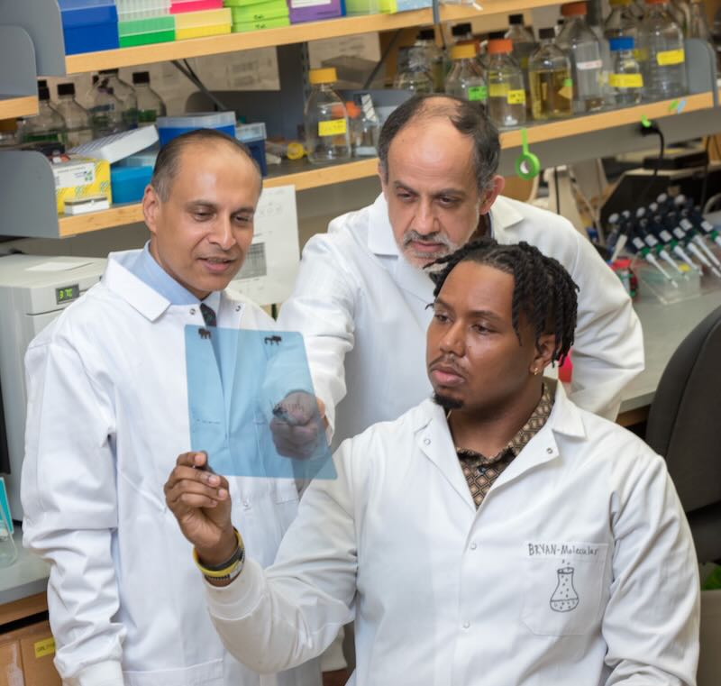 Massey researchers Dr. Devanand Sarkar, Dr. Imad Damaj, and Bryan McKiver)