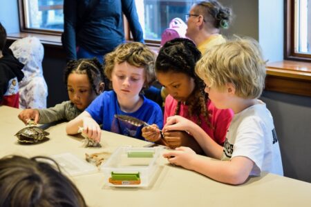 Kids working in a science lab at Maymont