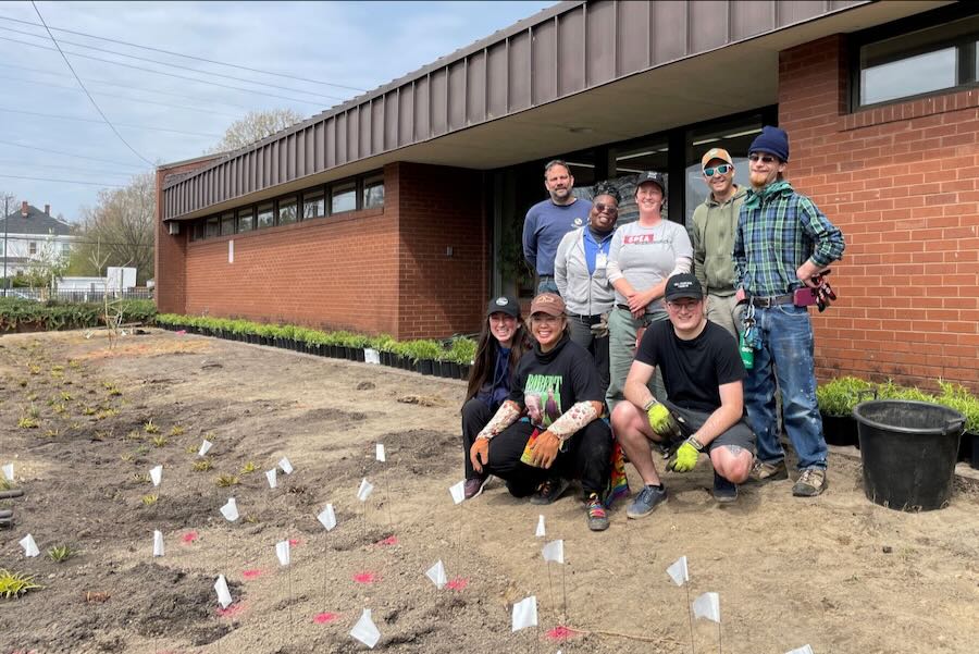 JRA free trees program