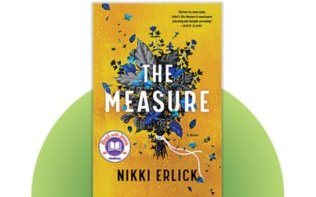 The Measure by Nikki Erlick