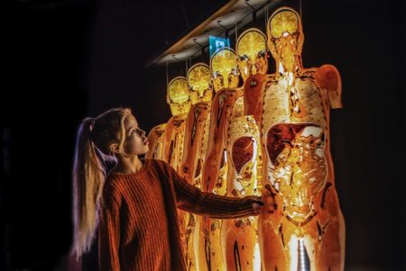 child at Body Worlds exhibit