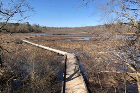 Floating boardwalk at R. Garland Dodd Park at Point of Rocks