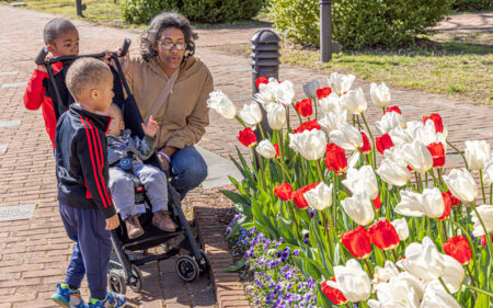 Lewis Ginter Botanical Garden