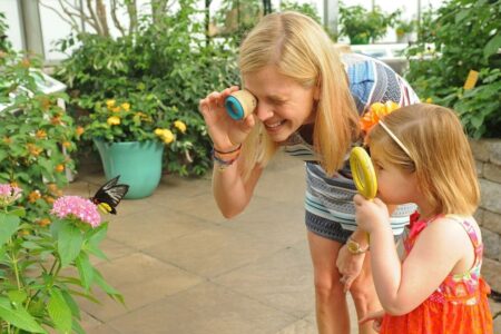 Lewis Ginter Botanical Garden Butterflies Live