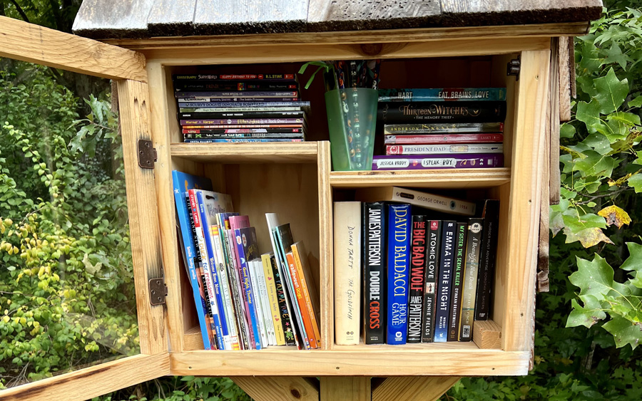 LITTLE FREE LIBRARIES