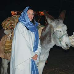 Miracle of Christmas Live at Metro Richmond Zoo