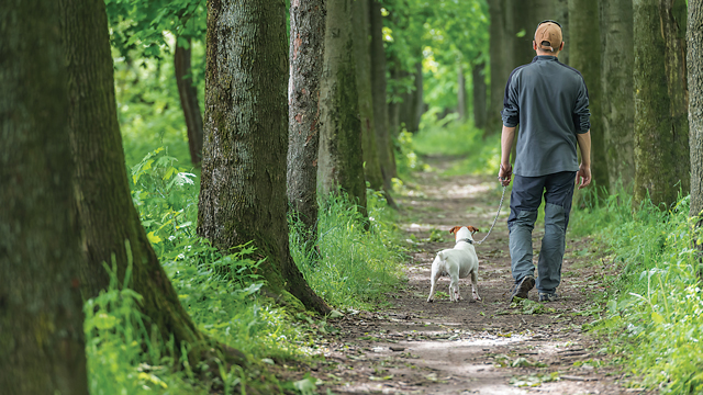 man with dog in woods