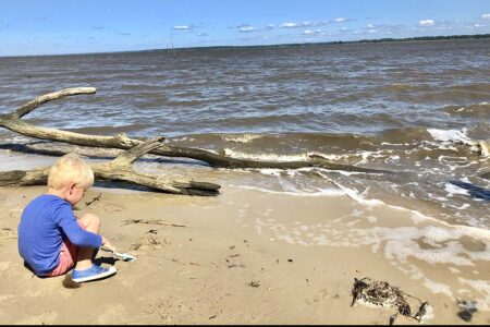 York River Fossils