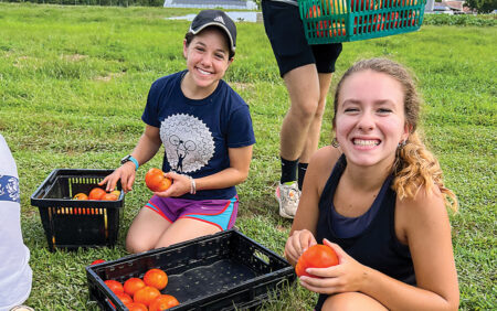 Shalom Farms