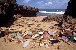 Discarded flip-flops on a beach in East Africa take on new life as artful, colorful animals. (Ocean Sole courtesy photo)