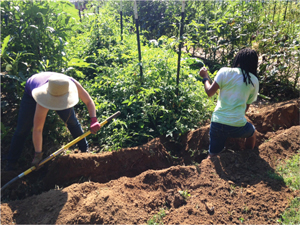 RVA’s Urban Farm is Richmond’s first urban, year-round, productive farm.