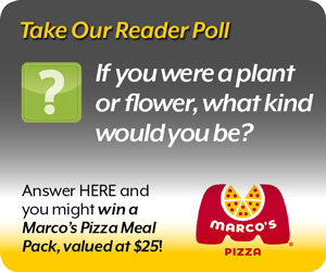 RFM Reader Poll