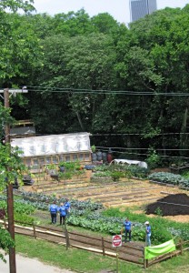 RVAUrbanFarm_TriGardens