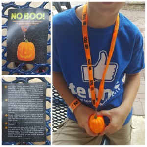 Pick up a No Boo! lanyard at Kings Dominion if you you’re visiting in the evening and don't want to surprised.