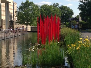 red reeds